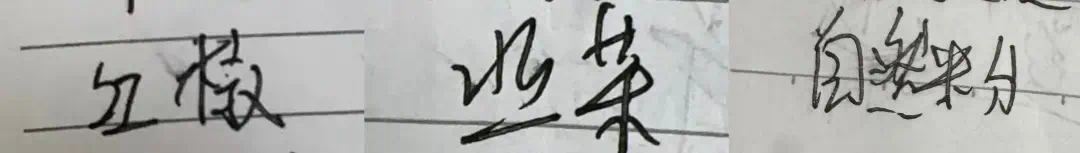 06-04